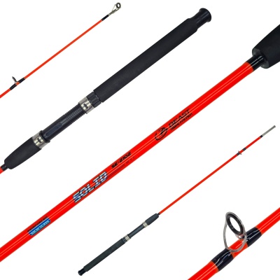 Caña Beast Solid SE 2.10m Maciza 2 Tramos 15-25 Lb 50-100g
