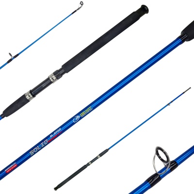 Caña Beast Solid SL 2.70m Maciza 2 Tramos 15-25 Lb 100-150g
